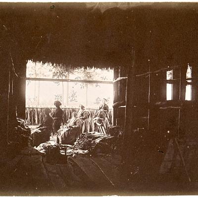 Werksters in tabaksschuur